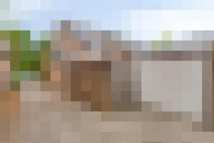 Schoolstraat 26 Halsteren thumbnail 9