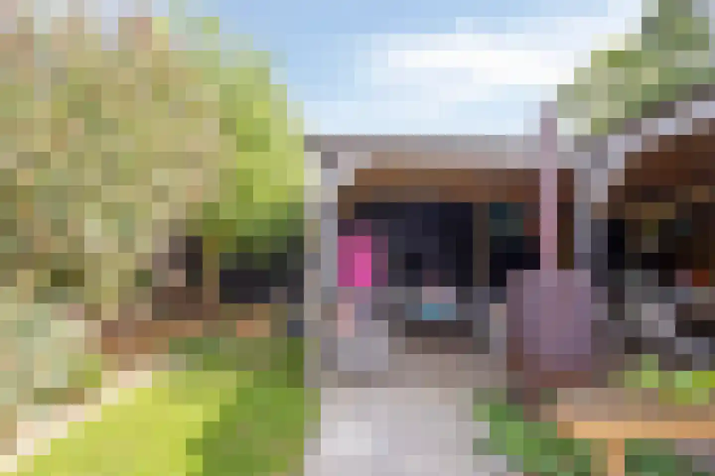 Schoolstraat 26 Herten thumbnail 22
