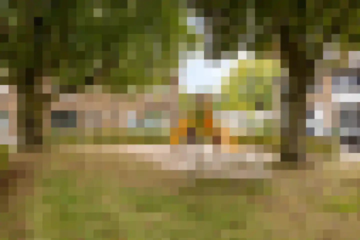 Schoolstraat 26 Herten thumbnail 28