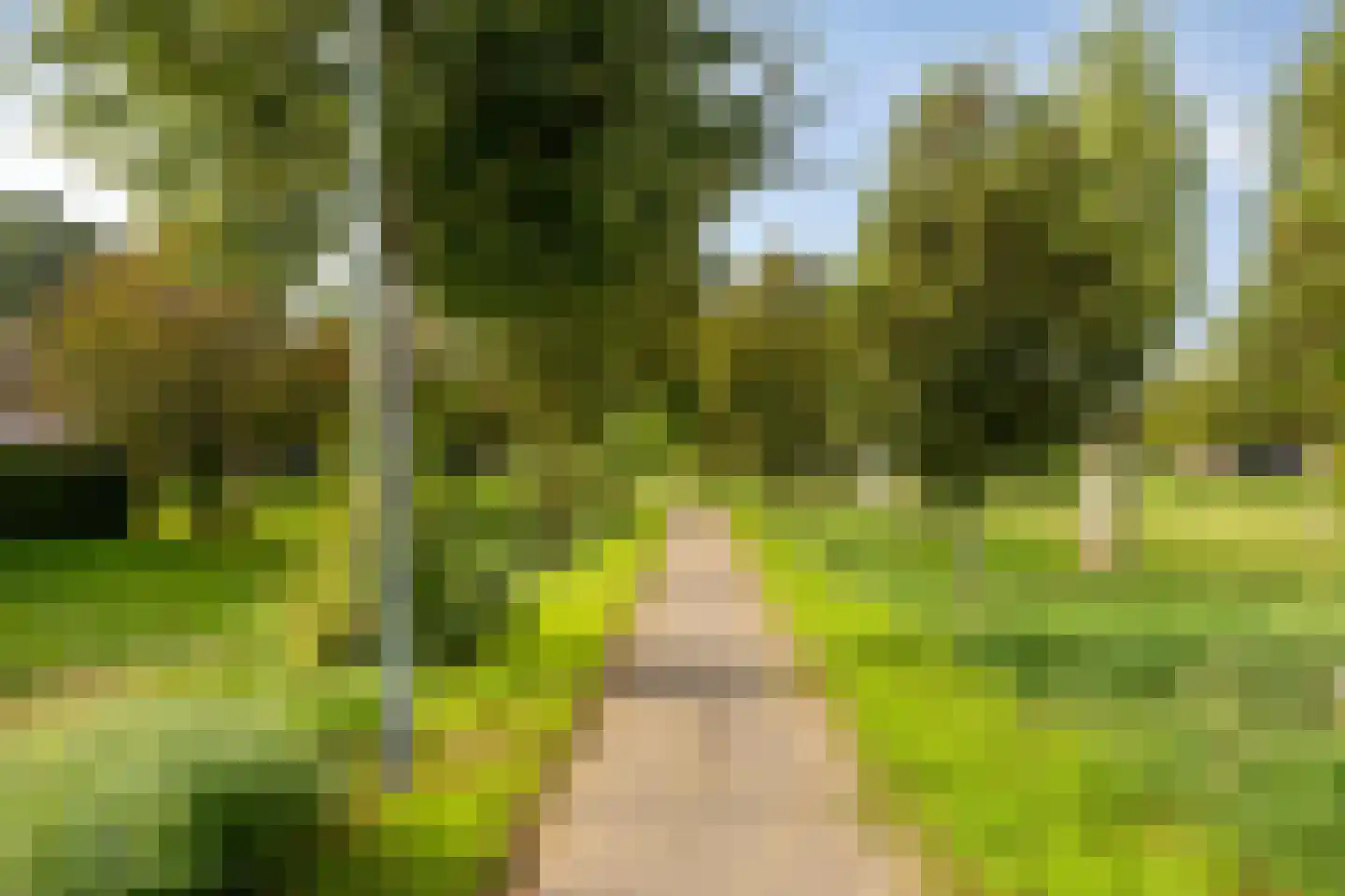 Schoolstraat 26 Herten thumbnail 29