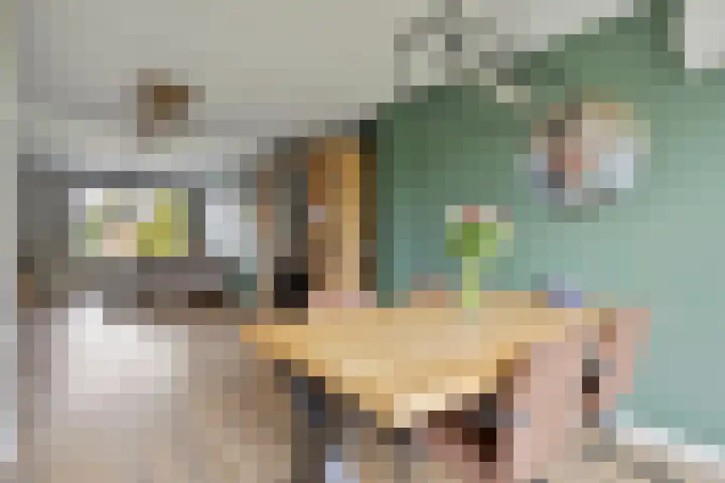 Schoolstraat 26 Herten thumbnail 8