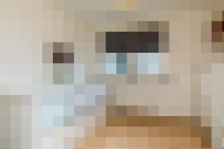 Schoolstraat 26 Hulsberg thumbnail 22
