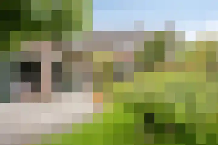 Schoolstraat 26 Moergestel thumbnail 27