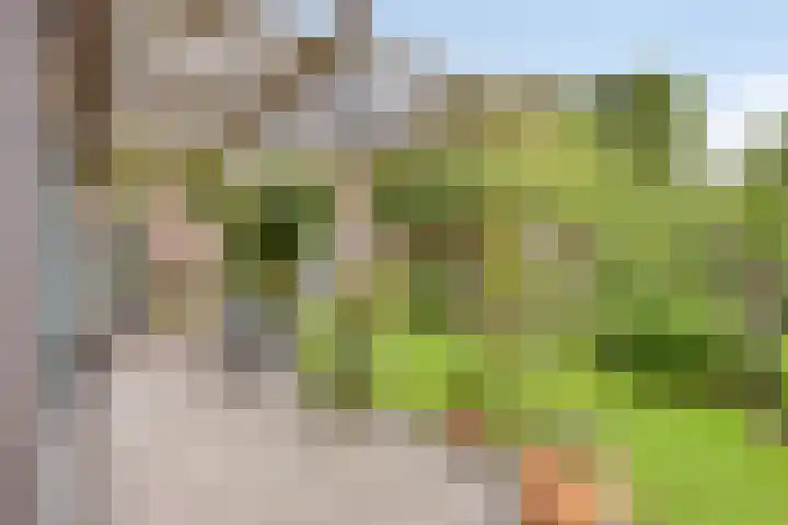 Schoolstraat 26 Moergestel thumbnail 30