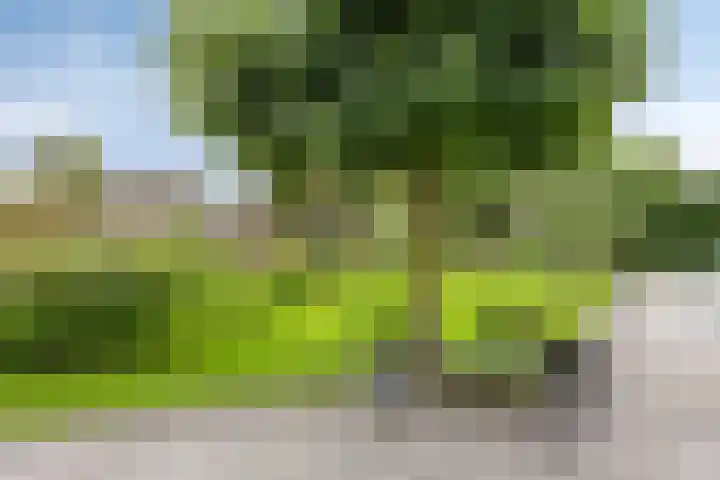 Schoolstraat 26 Moergestel thumbnail 32