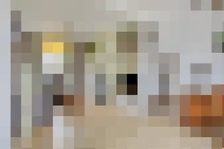Schoolstraat 26 Moergestel thumbnail 5