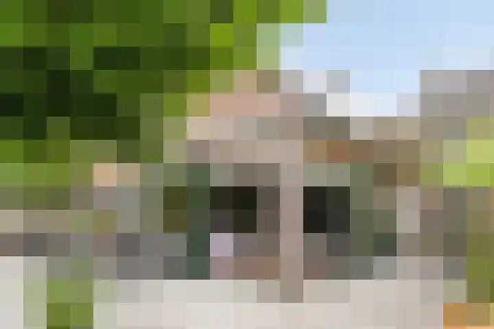 Schoolstraat 26 Moergestel thumbnail 50