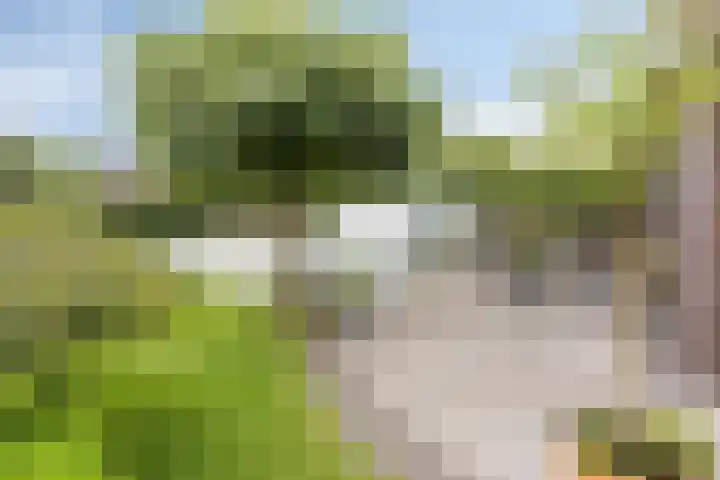 Schoolstraat 26 Moergestel thumbnail 51