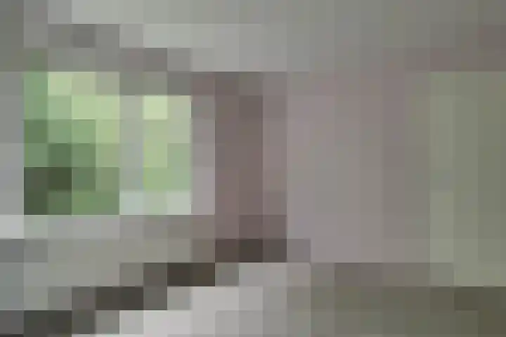 Schoolstraat 27 c Aartswoud thumbnail 27