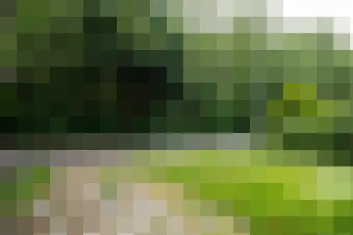 Schoolstraat 27 c Aartswoud thumbnail 44
