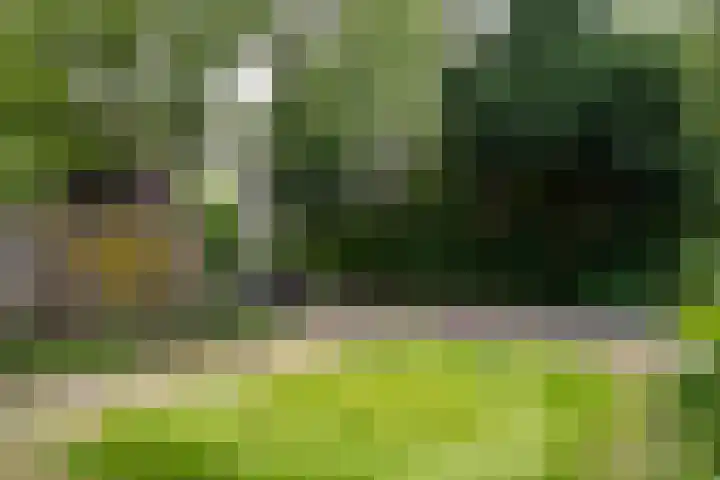 Schoolstraat 27 c Aartswoud thumbnail 45