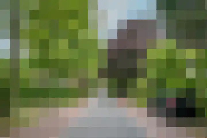 Schoolstraat 27 c Aartswoud thumbnail 46