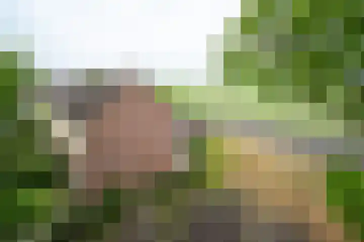 Schoolstraat 27 c Aartswoud thumbnail 47