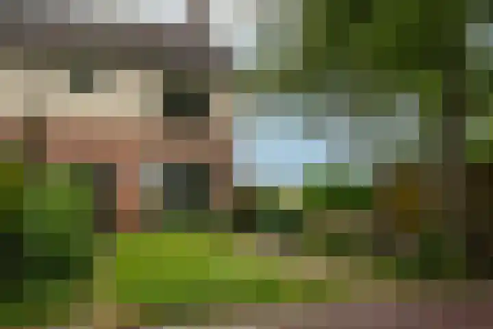 Schoolstraat 27 c Aartswoud thumbnail 48