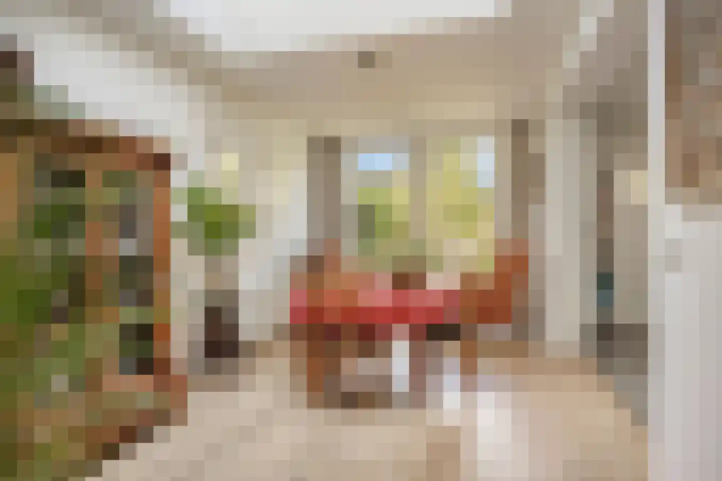 Schoolstraat 27 Eefde thumbnail 10