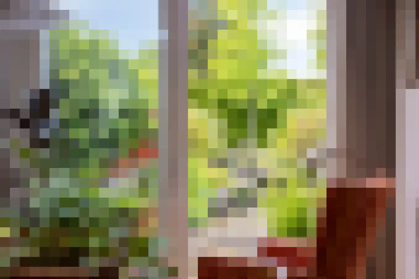 Schoolstraat 27 Eefde thumbnail 16