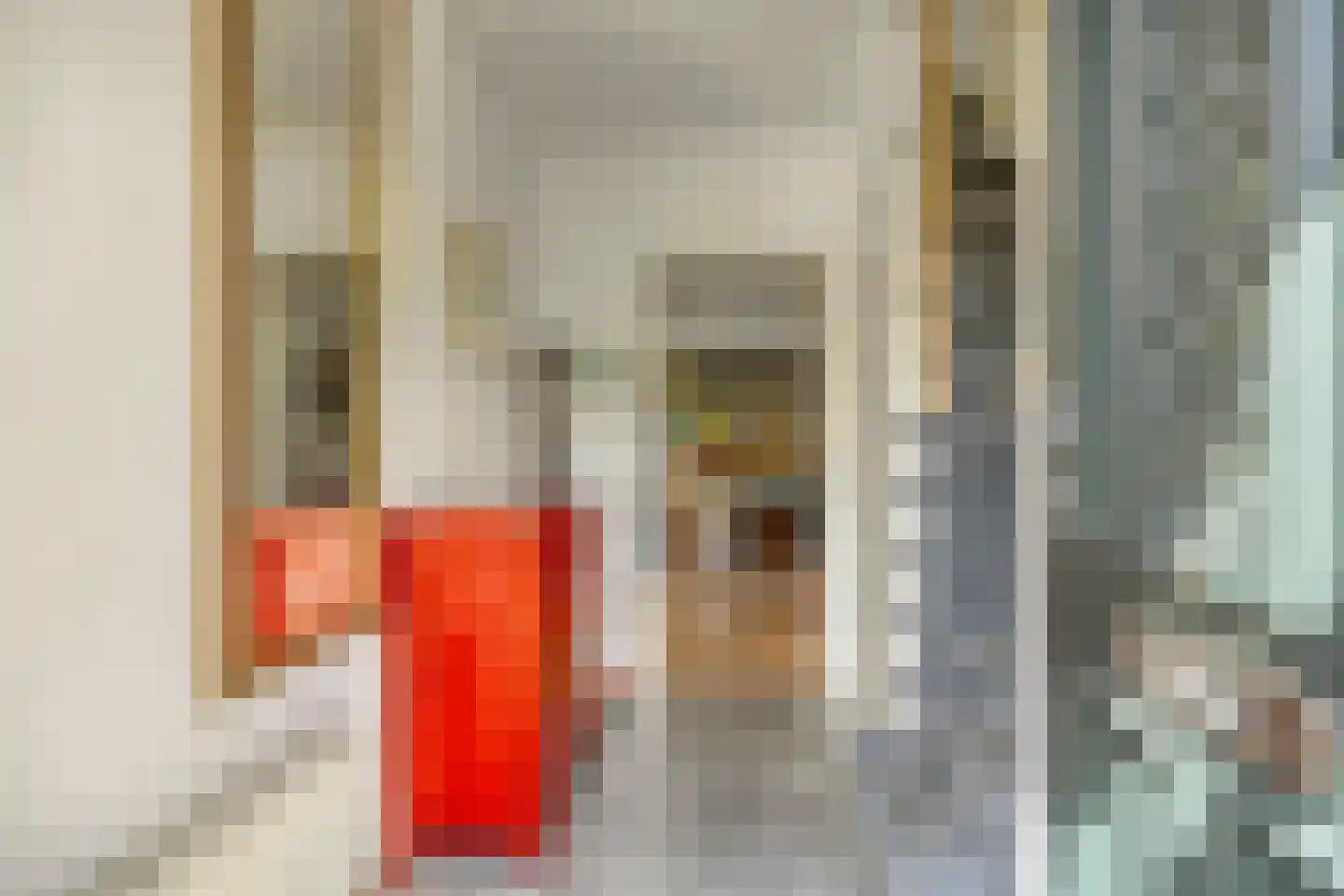 Schoolstraat 27 Eefde thumbnail 18