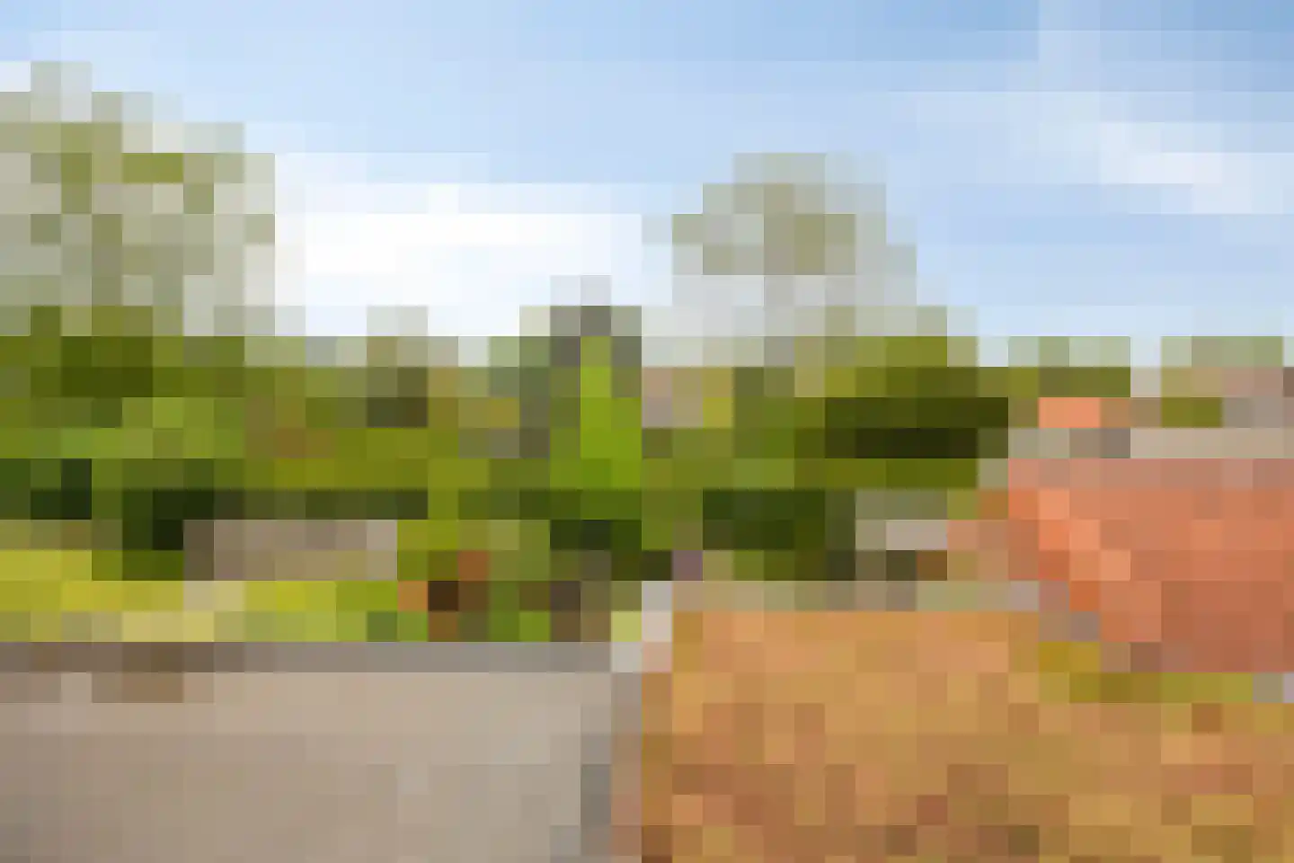 Schoolstraat 27 Eefde thumbnail 36