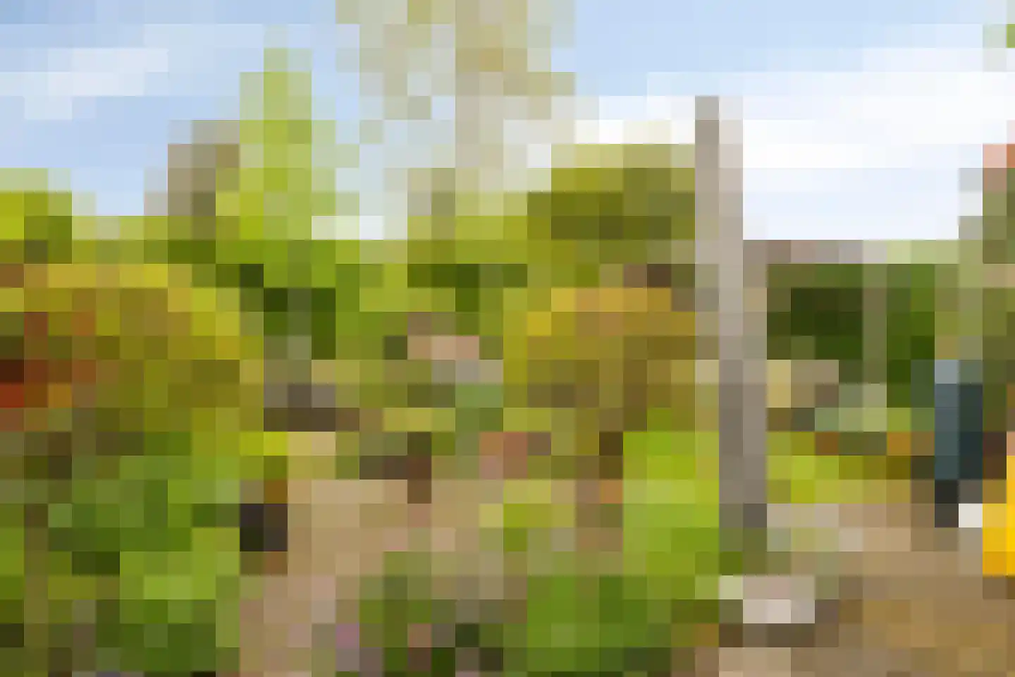 Schoolstraat 27 Eefde thumbnail 41