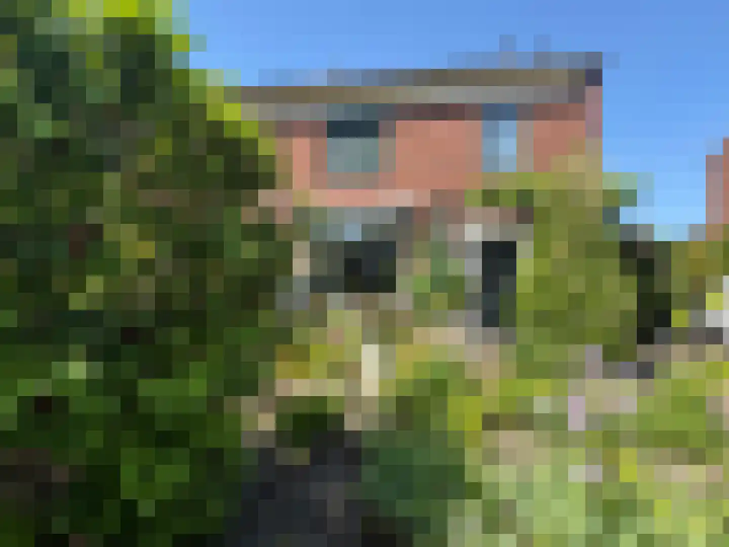 Schoolstraat 27 Eefde thumbnail 47