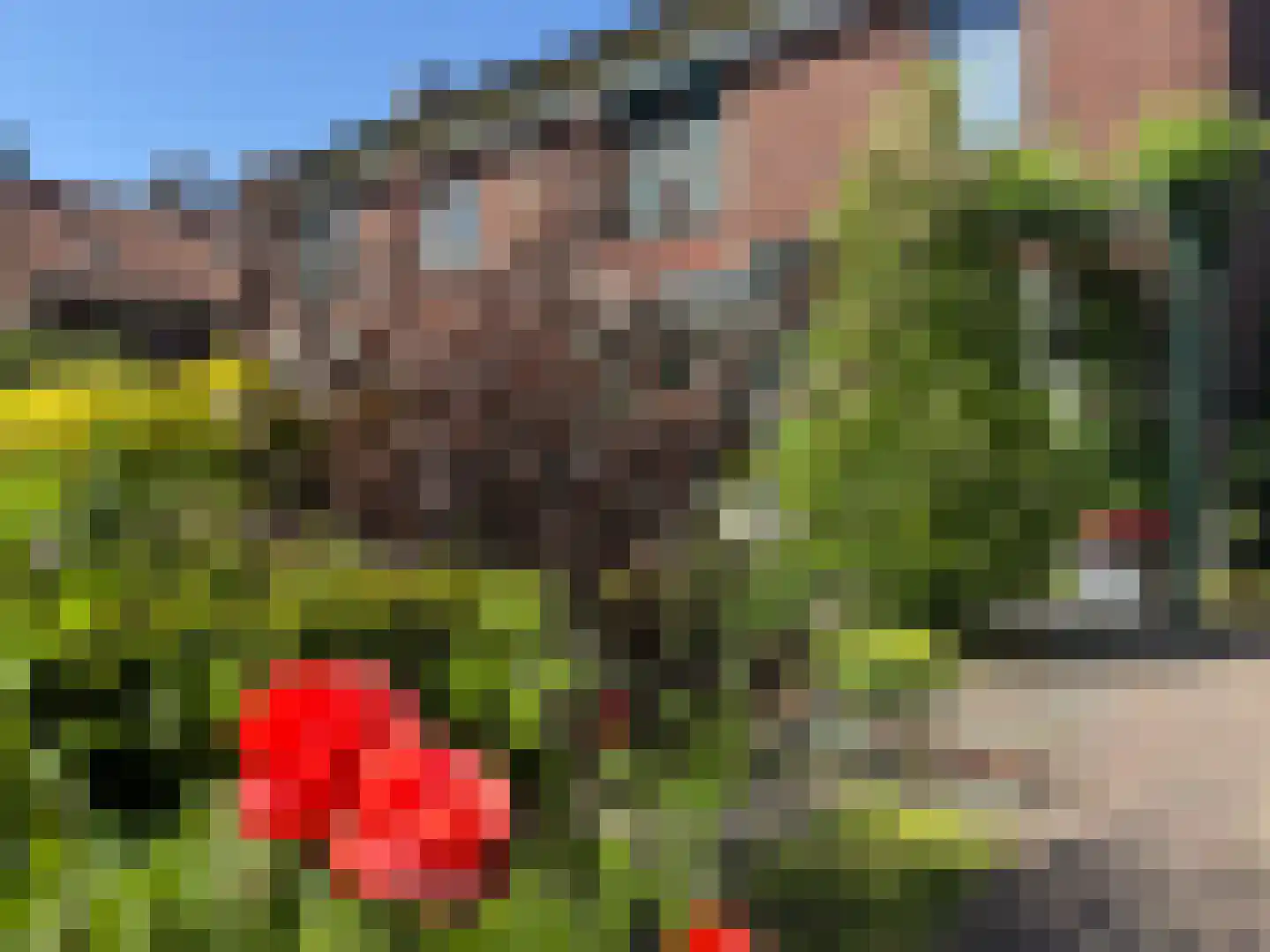 Schoolstraat 27 Eefde thumbnail 50