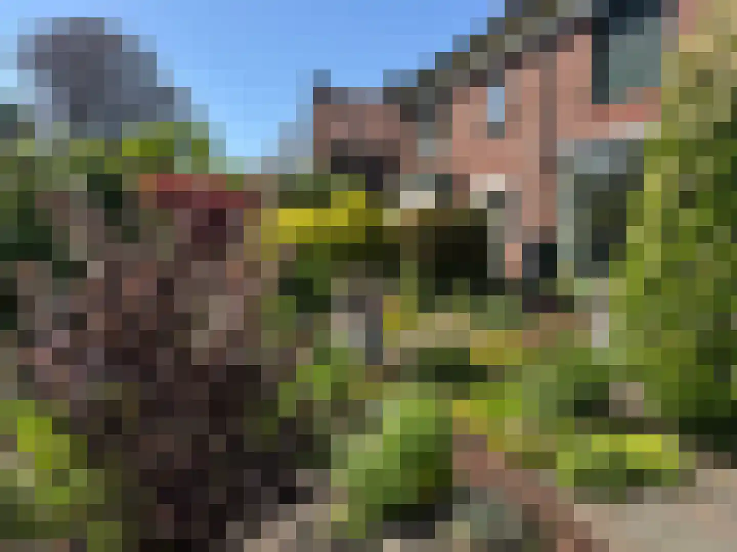 Schoolstraat 27 Eefde thumbnail 51