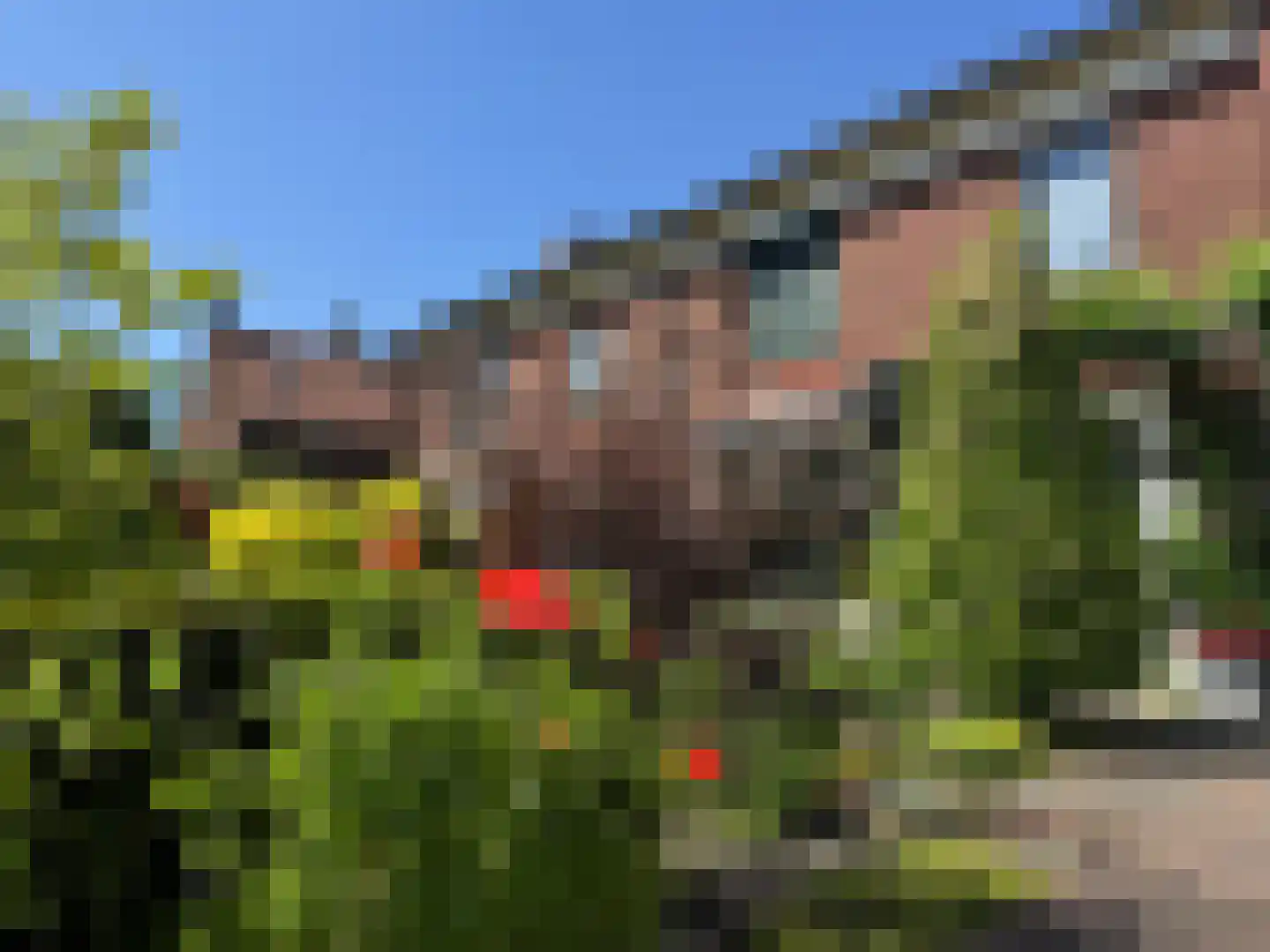 Schoolstraat 27 Eefde thumbnail 52