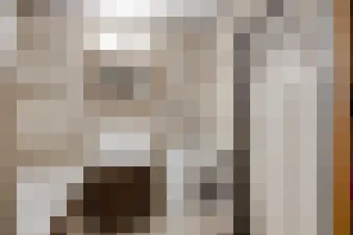 Schoolstraat 27 Krimpen aan de Lek thumbnail 16