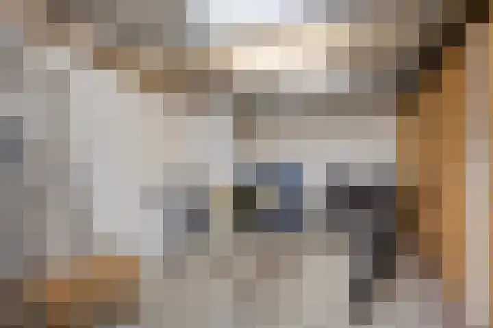 Schoolstraat 27 Krimpen aan de Lek thumbnail 34