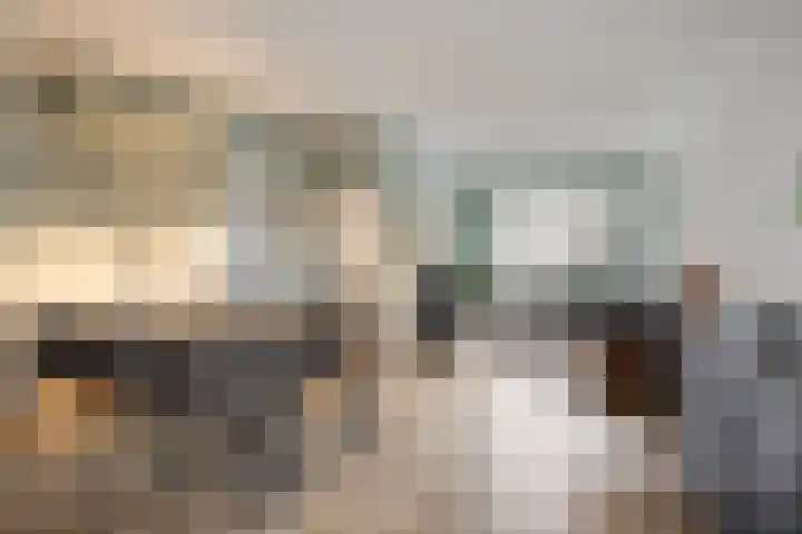 Schoolstraat 27 Krimpen aan de Lek thumbnail 7