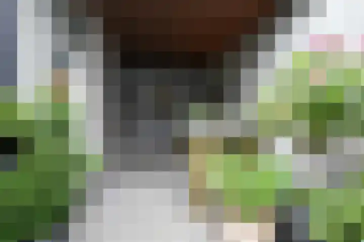 Schoolstraat 28 Eijsden thumbnail 30