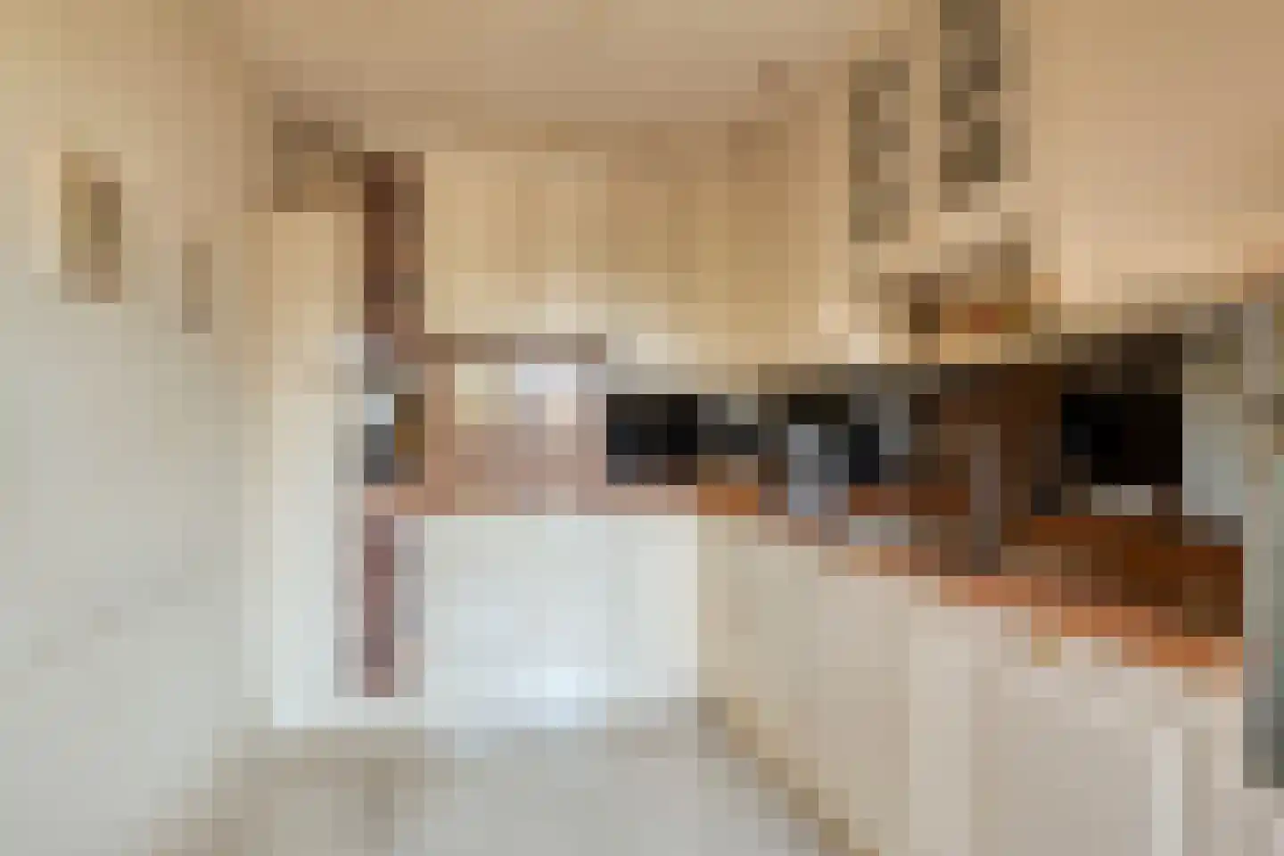 Schoolstraat 28 Mierlo thumbnail 14