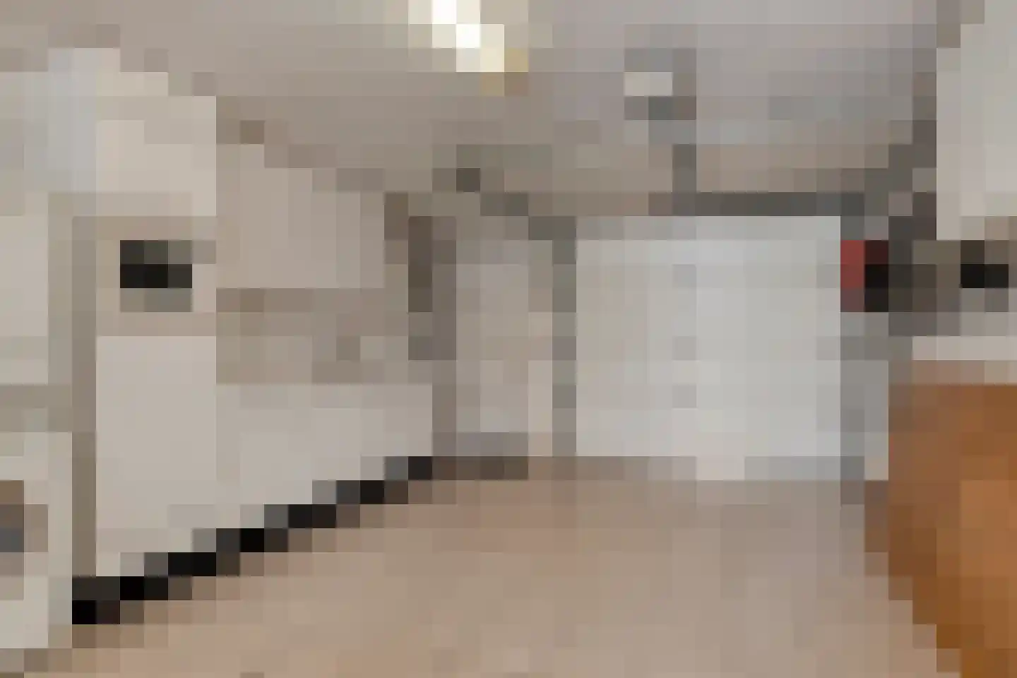 Schoolstraat 28 Mierlo thumbnail 16