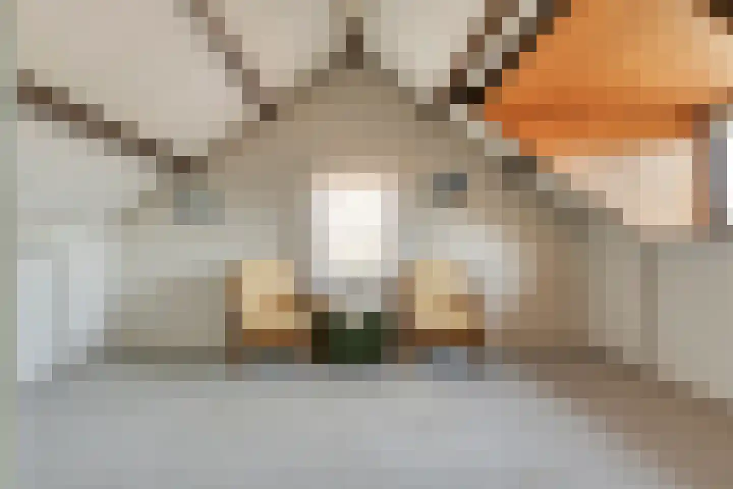 Schoolstraat 28 Mierlo thumbnail 28