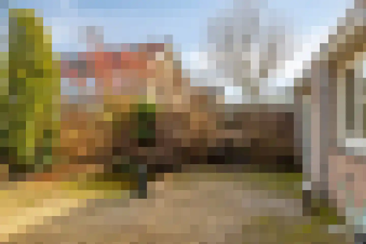 Schoolstraat 28 Mierlo thumbnail 31