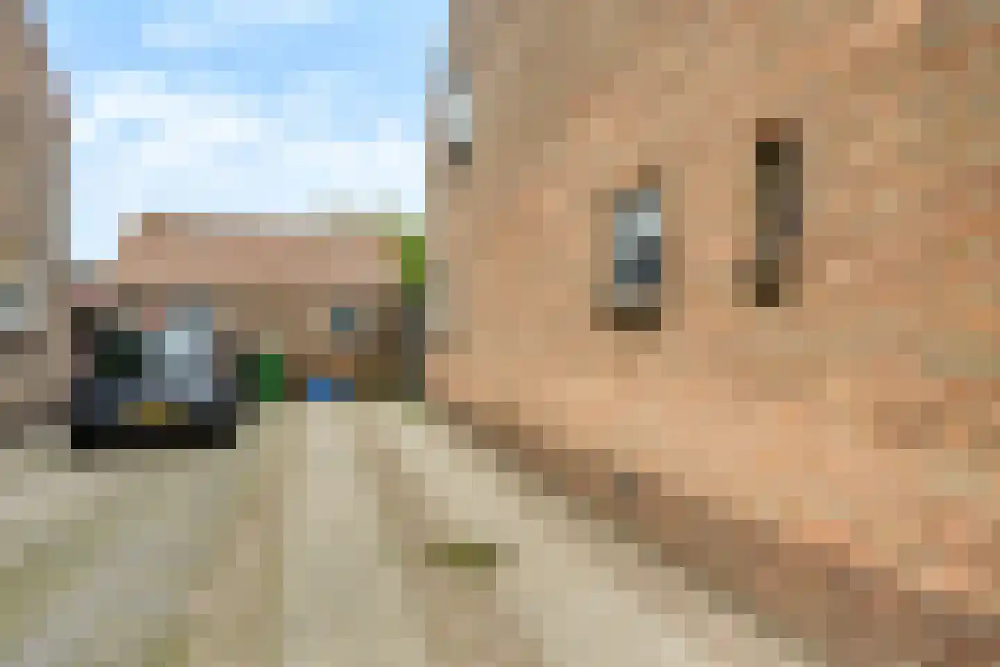 Schoolstraat 28 Sleeuwijk thumbnail 29