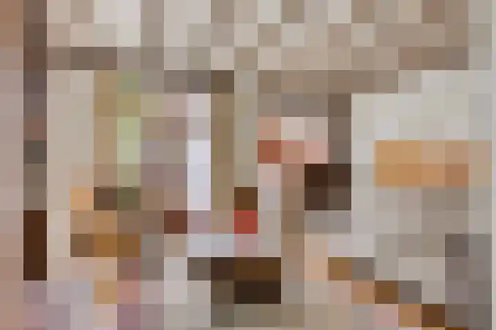 Schoolstraat 29 Beek en Donk thumbnail 12