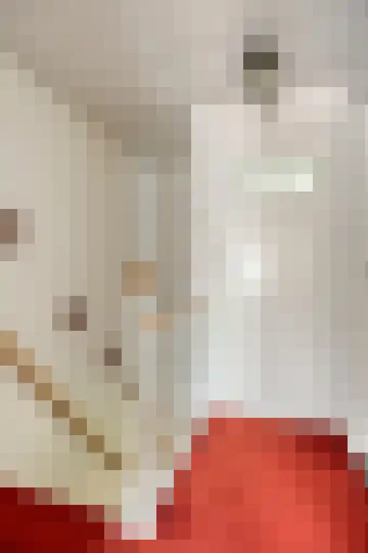 Schoolstraat 29 Beek en Donk thumbnail 23