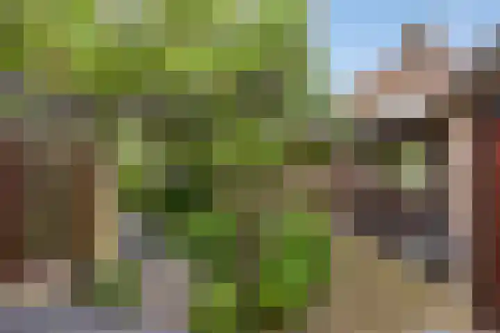 Schoolstraat 29 Beek en Donk thumbnail 31