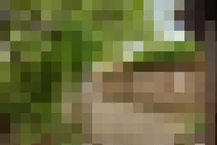 Schoolstraat 29 Beek en Donk thumbnail 32