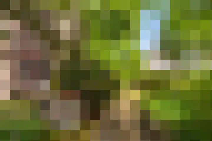 Schoolstraat 29 Beek en Donk thumbnail 33