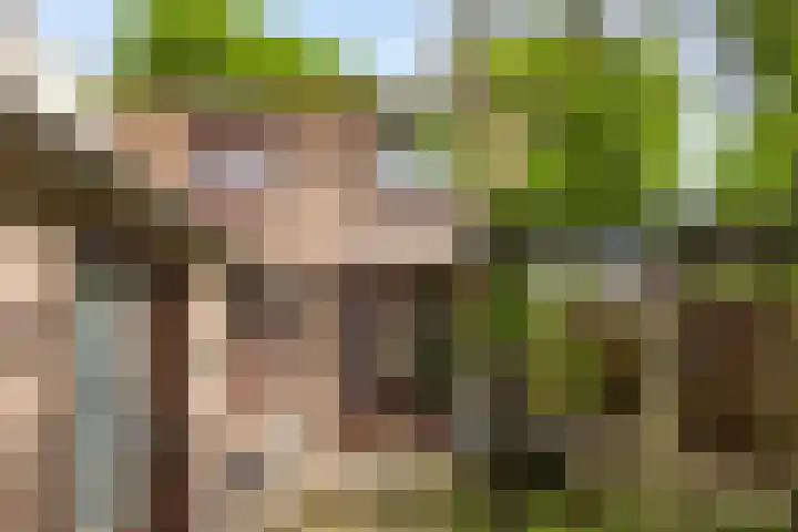 Schoolstraat 29 Beek en Donk thumbnail 34