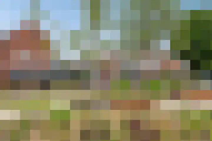 Schoolstraat 29 Beek en Donk thumbnail 35