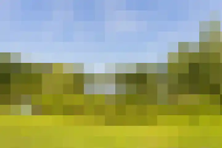 Schoolstraat 29 Beek en Donk thumbnail 36