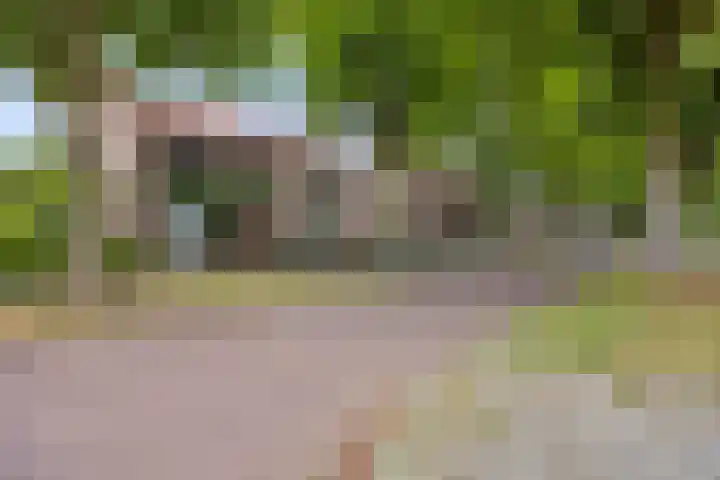 Schoolstraat 29 Beek en Donk thumbnail 7