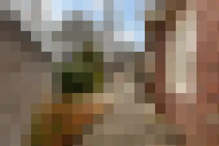 Schoolstraat 29 Buitenpost thumbnail 10
