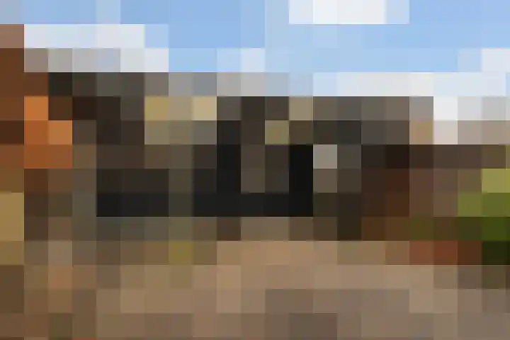 Schoolstraat 29 Buitenpost thumbnail 22