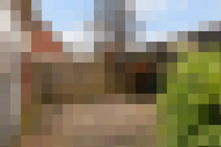Schoolstraat 29 Buitenpost thumbnail 23