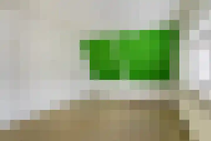 Schoolstraat 29 Buitenpost thumbnail 32