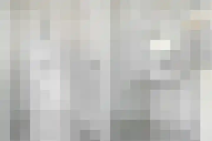 Schoolstraat 29 Buitenpost thumbnail 37